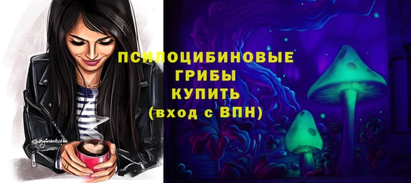 индика Тихвин