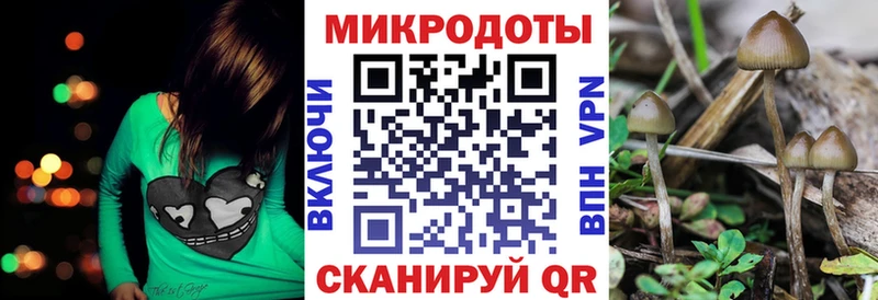 купить закладку сайты даркнета наркотические препараты Галлюциногенные грибы мухоморы Шацк
