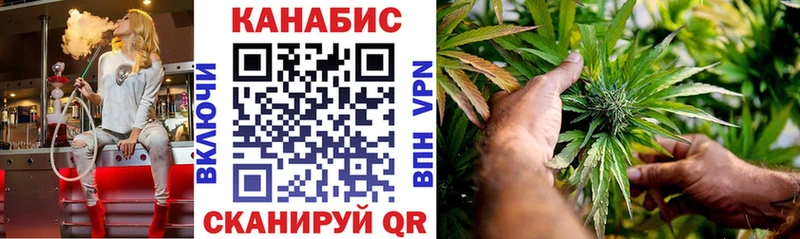 Конопля SATIVA & INDICA  Шацк 